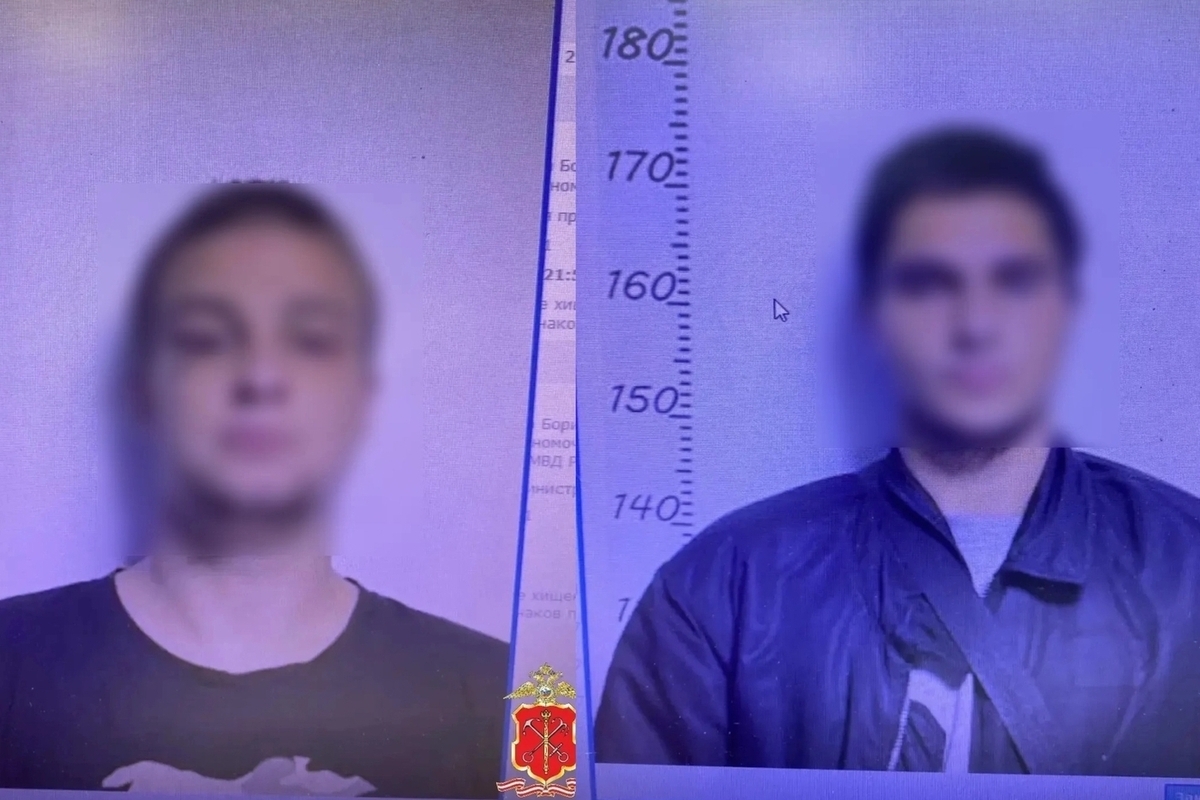 Метким дебоширам грозит до 5 лет тюрьмы за разбитое окно автобуса в Петербурге