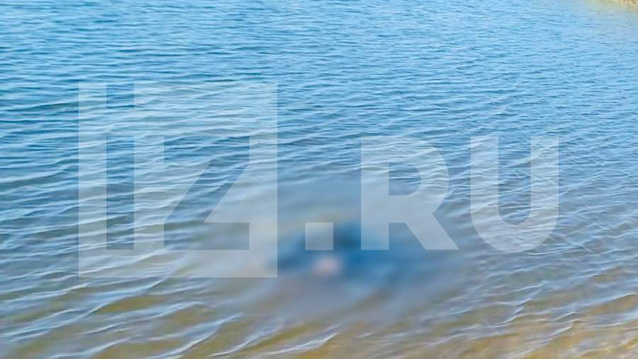 Тело мужчины с отрубленной рукой выловили из водоема в Петербурге