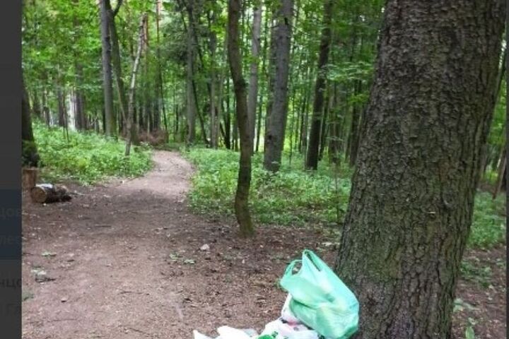 Лес под Одинцово превращается в помойку