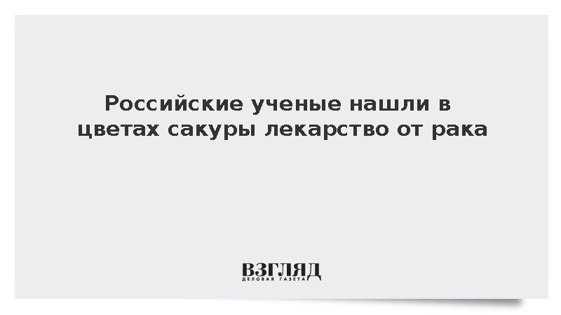 В России нашли в сакуре вещества против онкологии и астмы