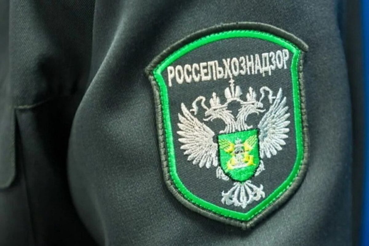 В Курской области на семенных полях ГМО-культур не обнаружили