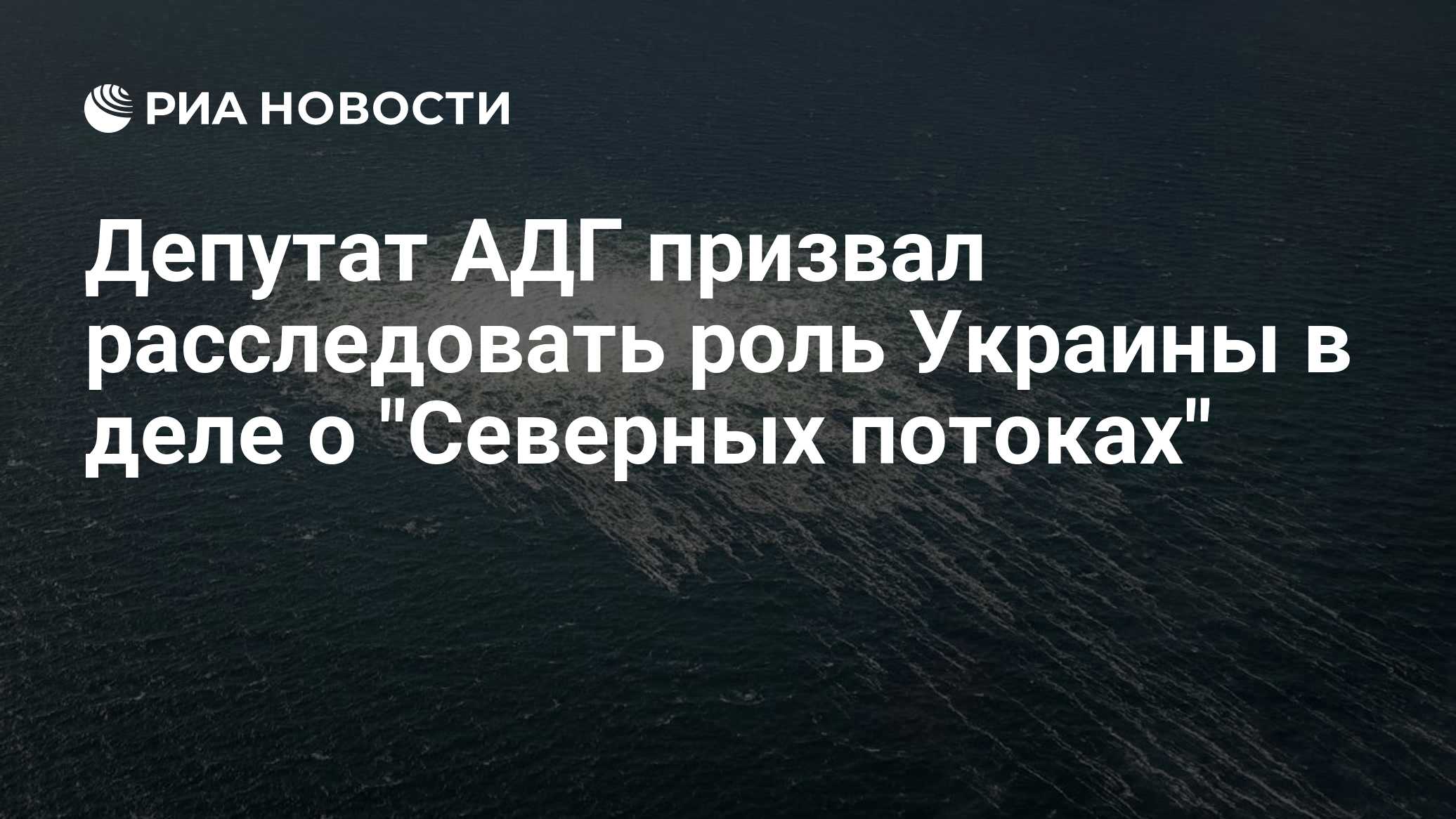 Депутат АДГ призвал расследовать роль Украины в деле о "Северных потоках"