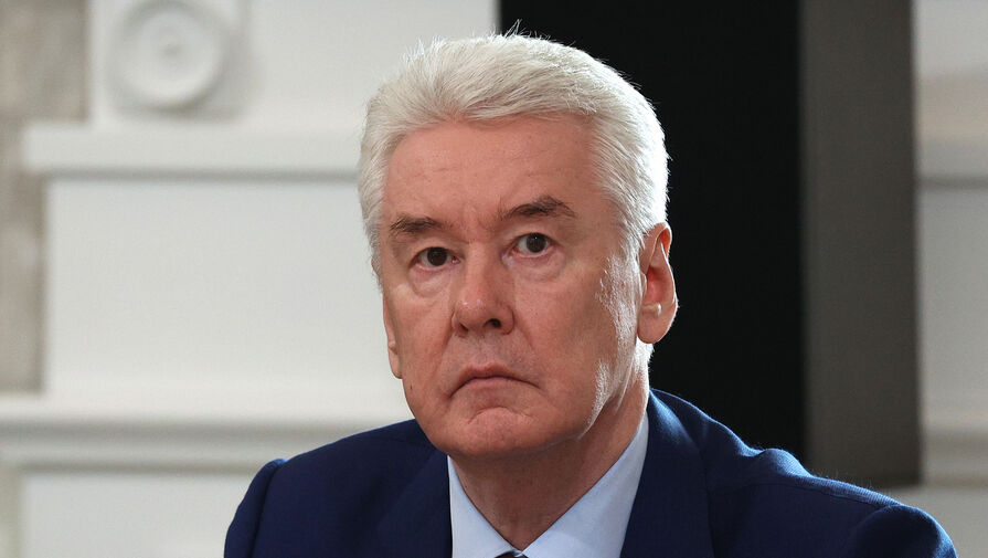 Собянин рассказал, как в других регионах России используют систему МЭШ