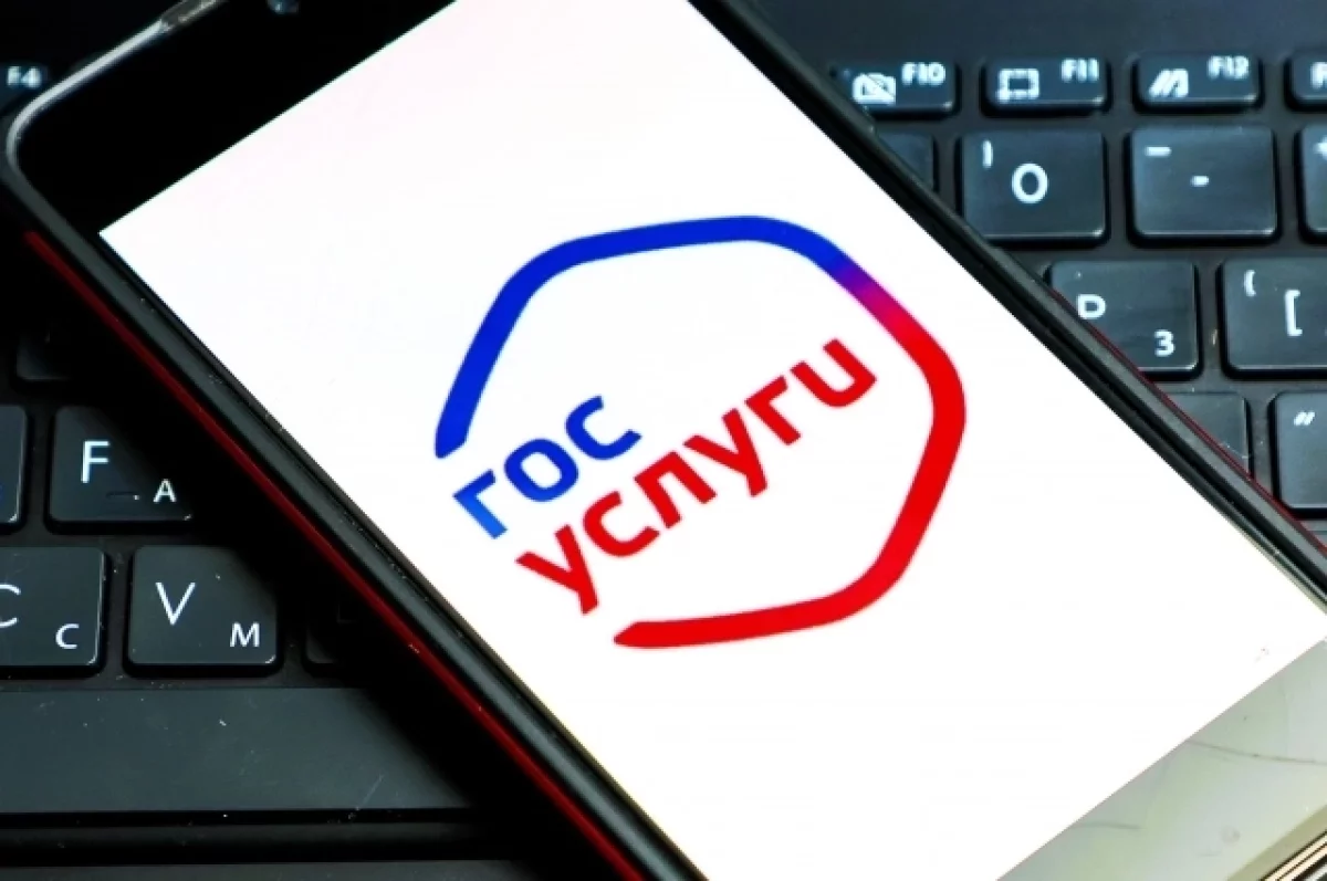 Эксперт Муртазин рассказал, как защититься от взлома «Госуслуг» на 99%