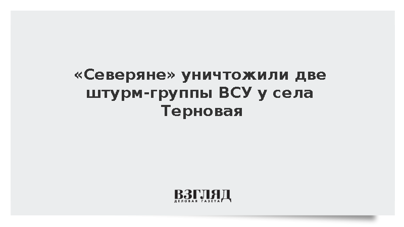 ВС России уничтожили две штурм-группы ВСУ у села Терновая
