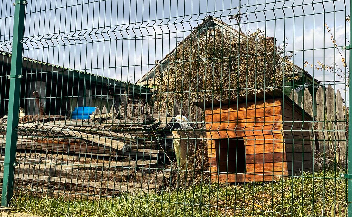 В СК назвали рабочие версии в деле о пропаже семьи Усольцевых
