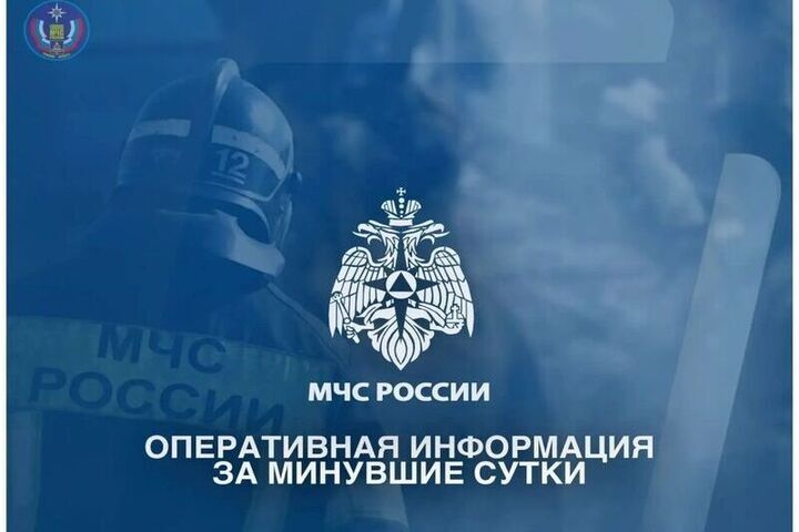 В Брянской области за сутки ликвидировали шесть пожаров