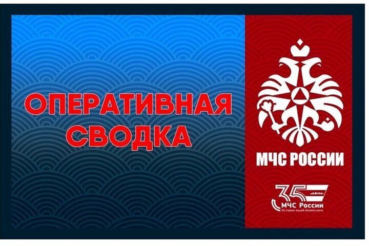 За сутки в Смоленской области ликвидировали один пожар
