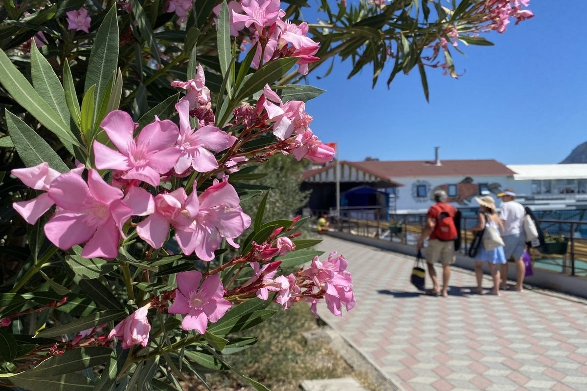 В Крыму отельерам рассказали о порядке получения господдержки