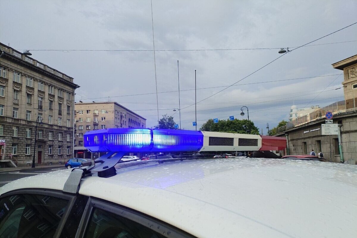 В Ленобласти арестовали курьера мошенников, вынудивших пенсионерку продать квартиру