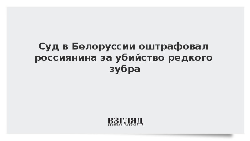 Суд в Белоруссии оштрафовал россиянина за убийство редкого зубра