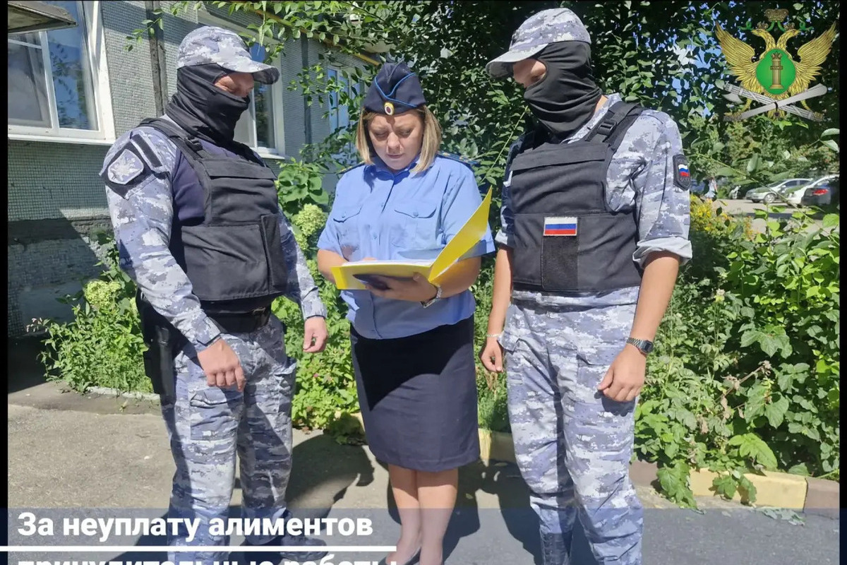 Житель Дмитриевки получил полгода принудительных работ за долг по алиментам в полмиллиона