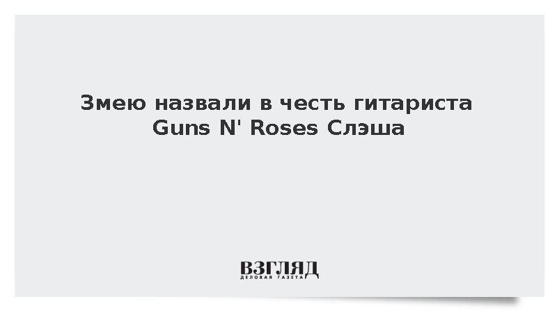 Новый вид змеи из Новой Гвинеи получил имя Слэша из Guns N' Roses