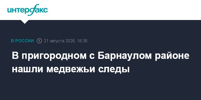 В пригородном с Барнаулом районе нашли медвежьи следы