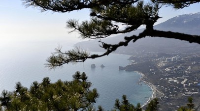 В Крыму рассказали, как представители турбизнеса могут оформить финансовую поддержку