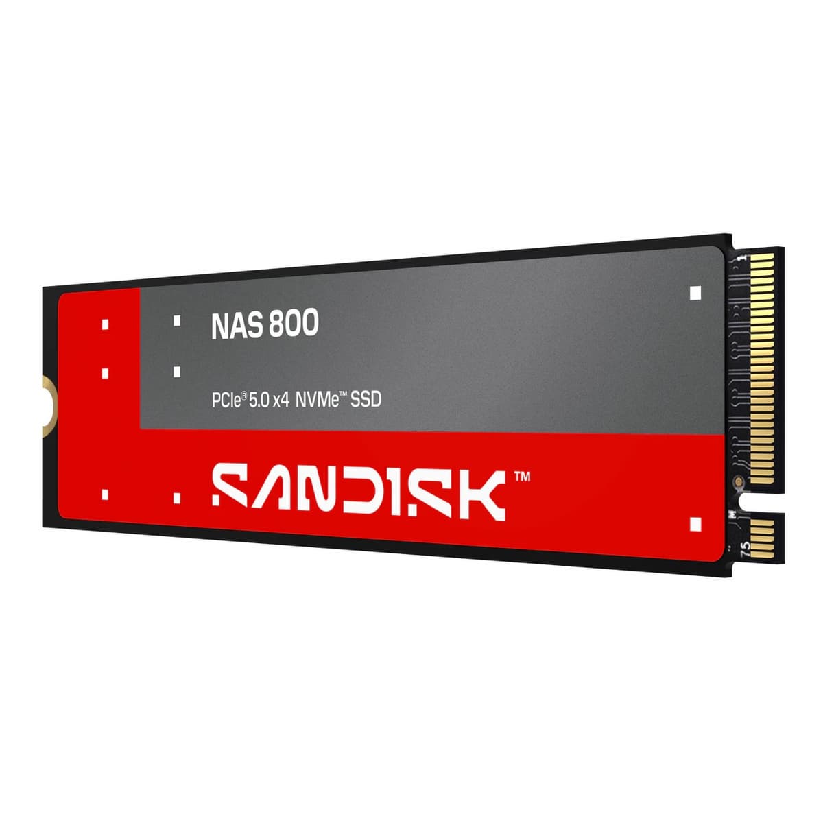 Одни из самых выносливых SSD для NAS? SanDisk выпустила накопители NAS 800 и NAS 600