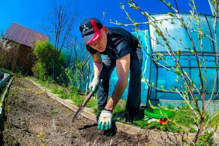 Челябинский нарколог объяснила, почему не стоит пить после работы на даче