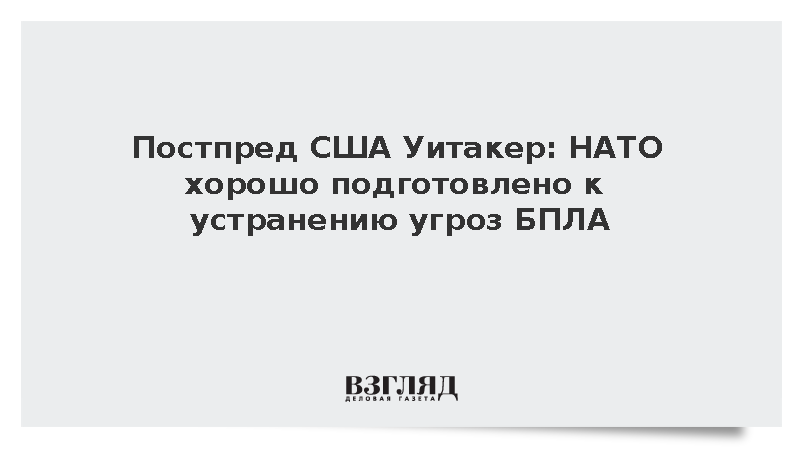 Постпред США Уитакер: НАТО хорошо подготовлено к устранению угроз БПЛА
