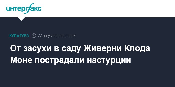 От засухи в саду Живерни Клода Моне пострадали настурции