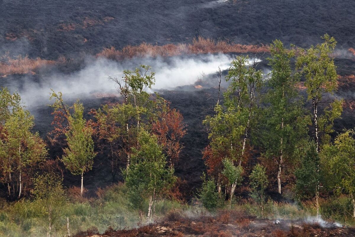 Реверсивное движение введено на трассе Коротчаево — Новый Уренгой