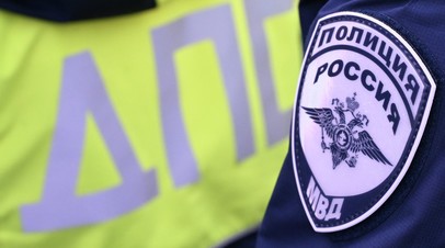 Госавтоинспекция рекомендовала не перевозить питомцев на переднем сиденье