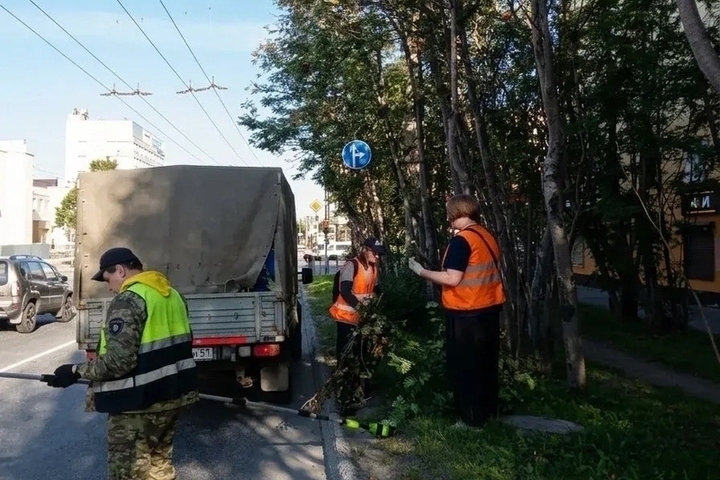 На трех улицах в Мурманске избавились от опасных веток деревьев