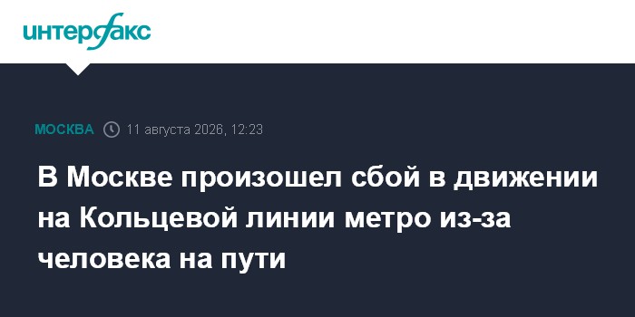 В Москве произошел сбой в движении на Кольцевой линии метро из-за человека на пути