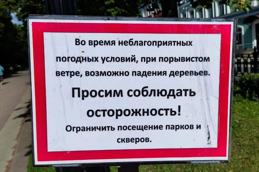 На Куршской косе в Калининграде ветер поднял песчаную метель до 25 м/с
