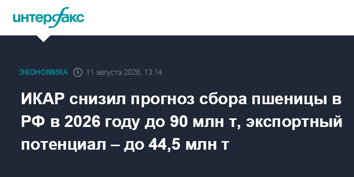 ИКАР снизил прогноз сбора пшеницы в РФ в 2026 году до 90 млн т, экспортный потенциал – до 44,5 млн т