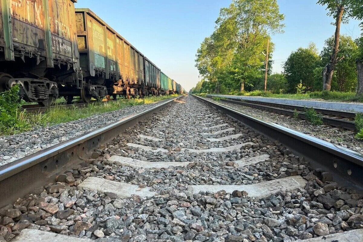 В конце августа между Петербургом и Сортавалой запустят дополнительные «Ласточки»