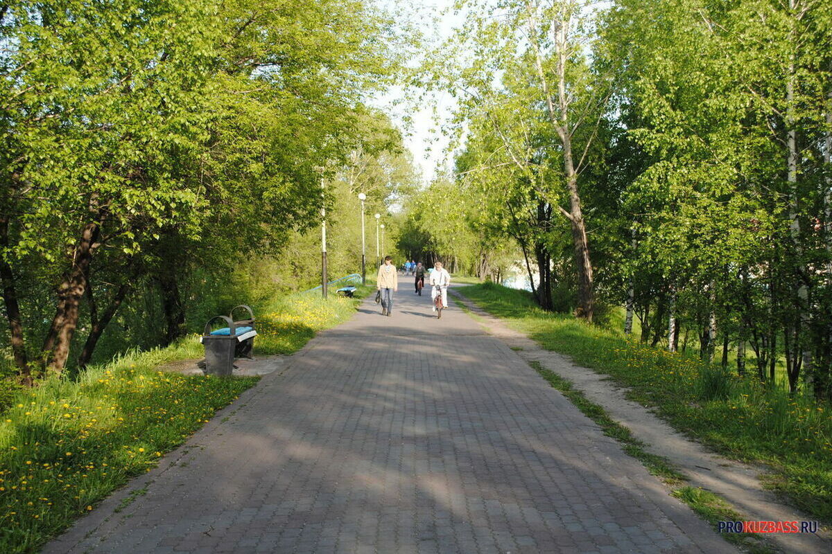 Стало известно, какая погода ожидает Кузбасс в конце лета