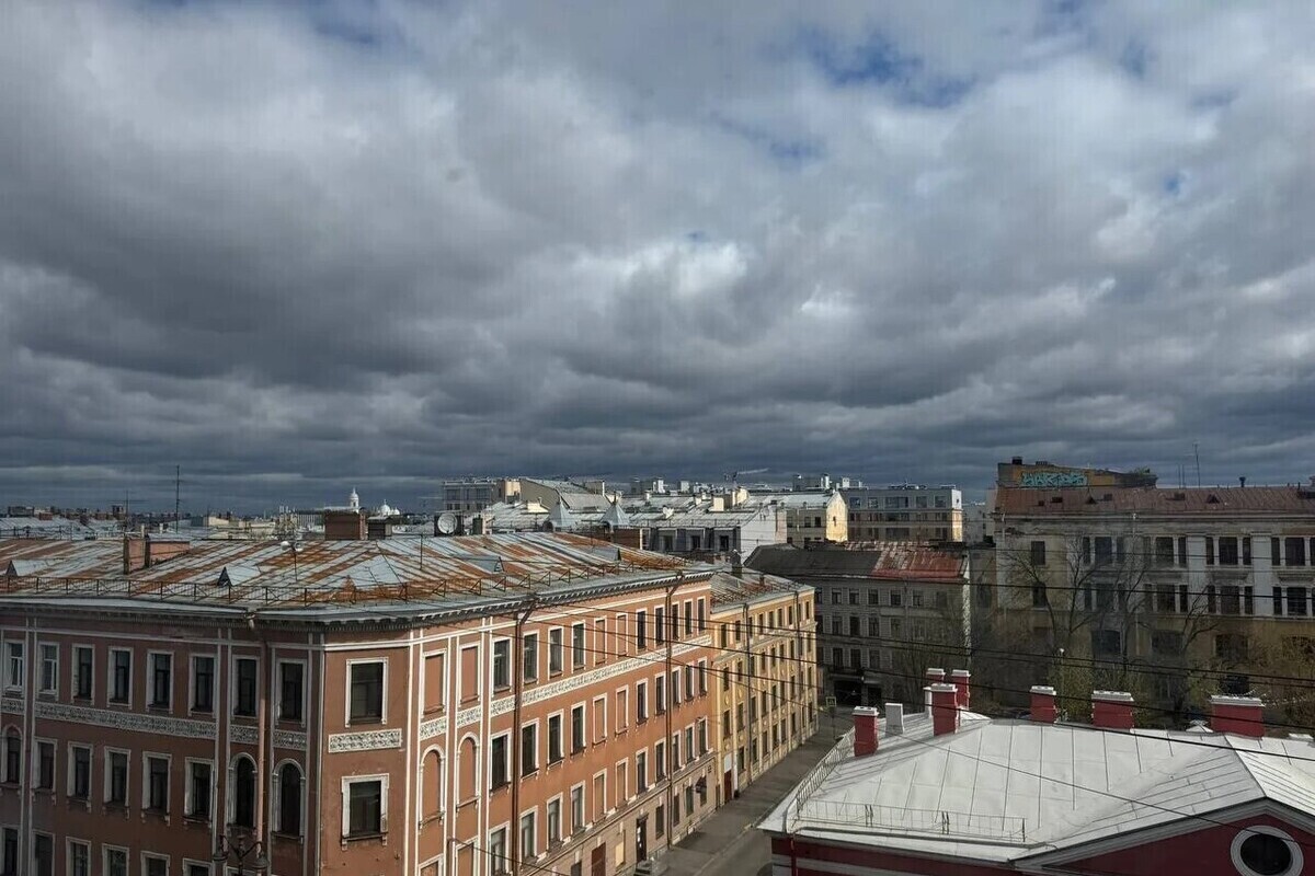 Петербуржцев снова предупредили о сильном дожде и ветре 24 августа