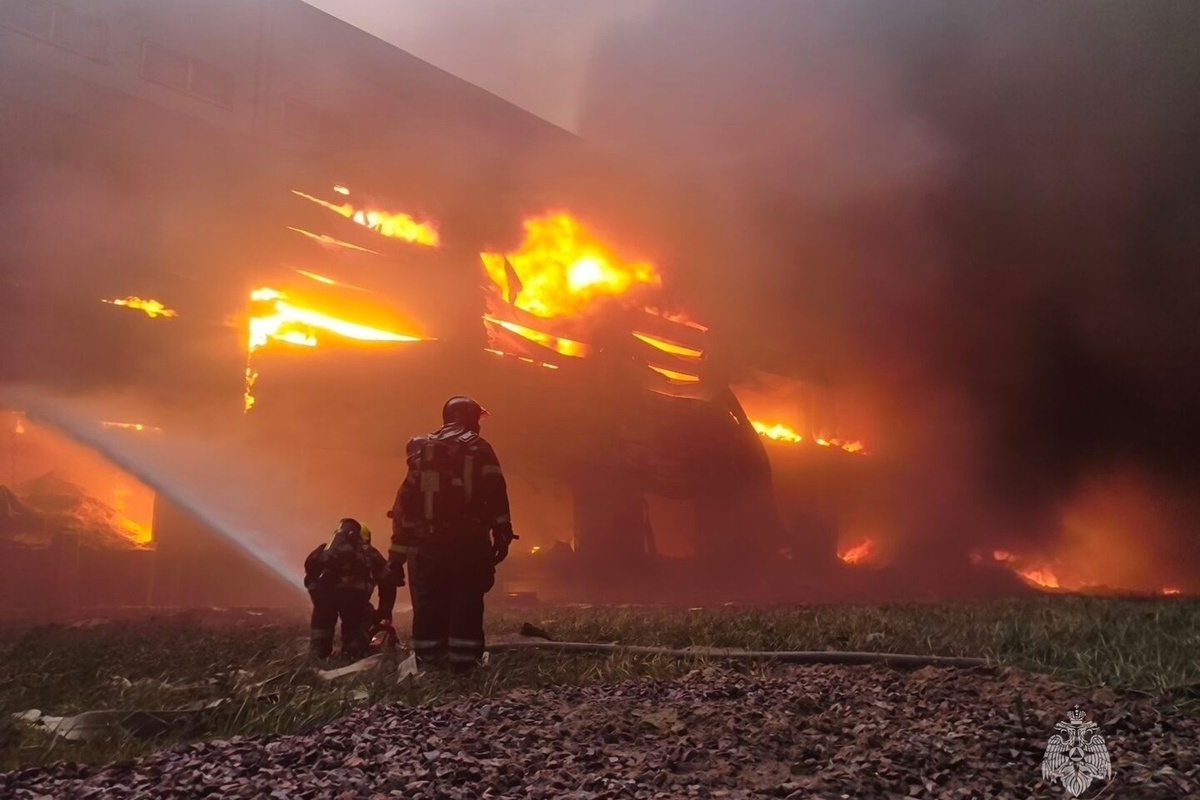 МЧС снизило ранг пожара на Колпинском шоссе до второго номера