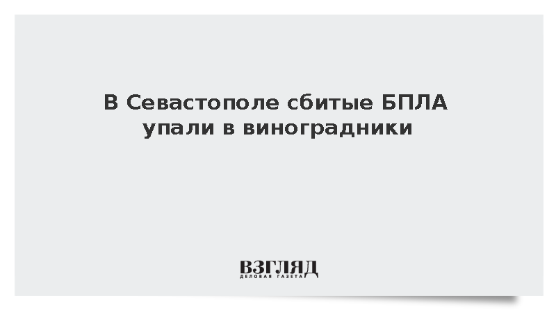 В Севастополе сбитые БПЛА упали в виноградники