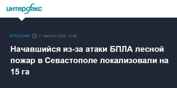 Начавшийся из-за атаки БПЛА лесной пожар в Севастополе локализовали на 15 га